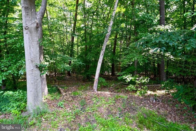 Building Photo - 8317 Windfall Rd