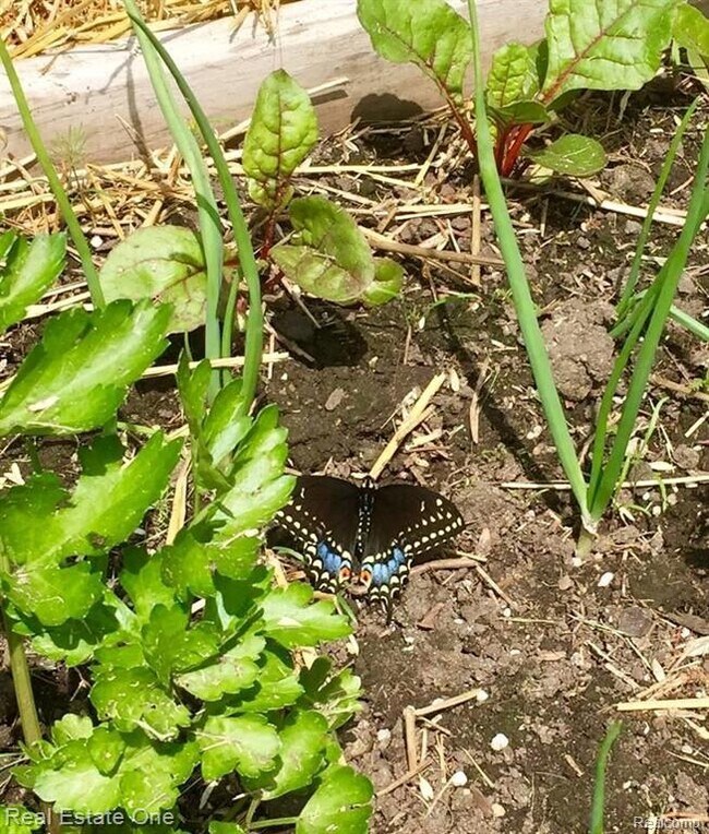 Building Photo - 5837 Folkstone Dr