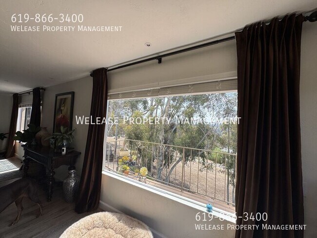 Building Photo - 3744 Bonita Canyon Rd