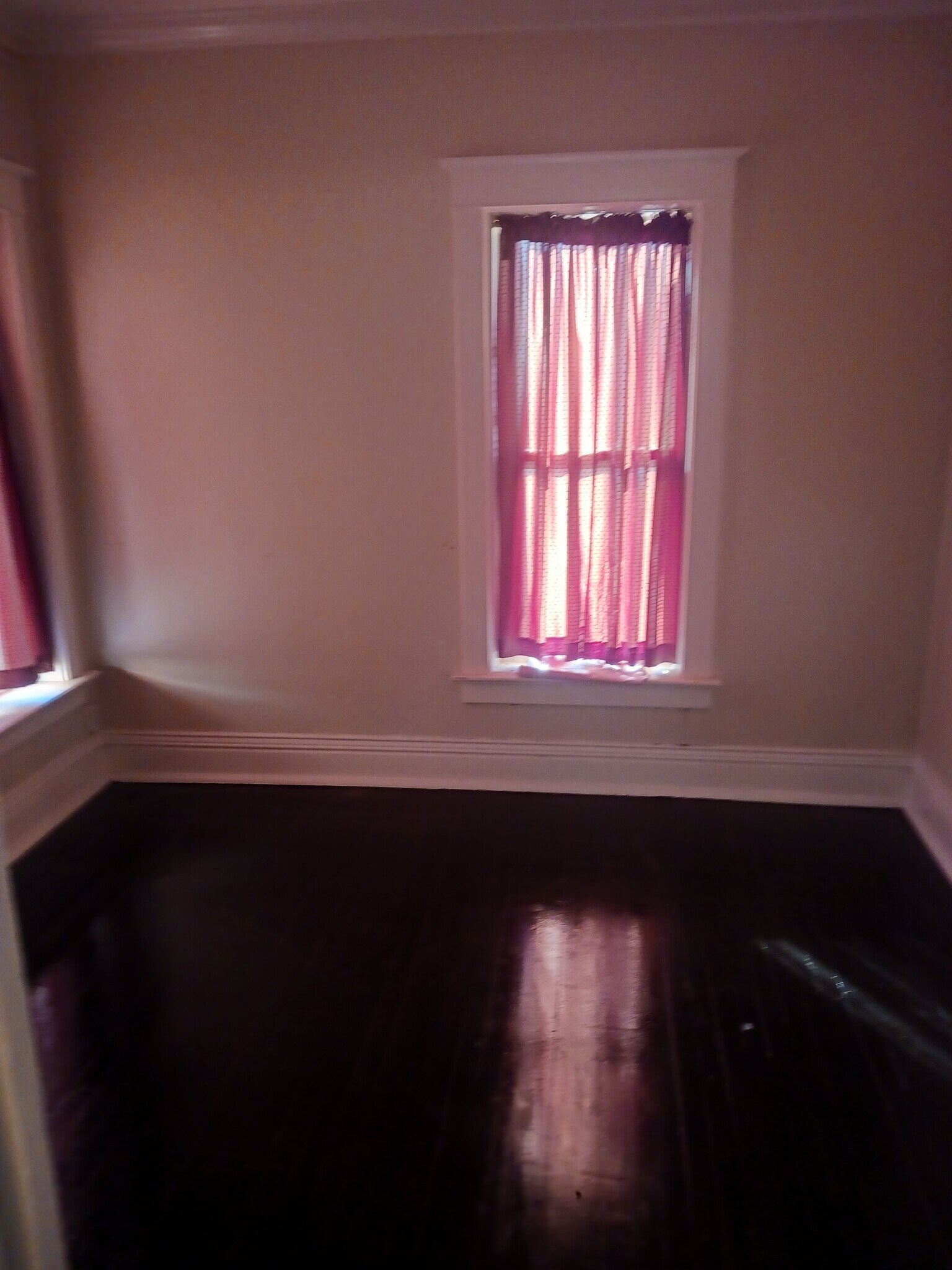 Building Photo - 810 Farragut Pl