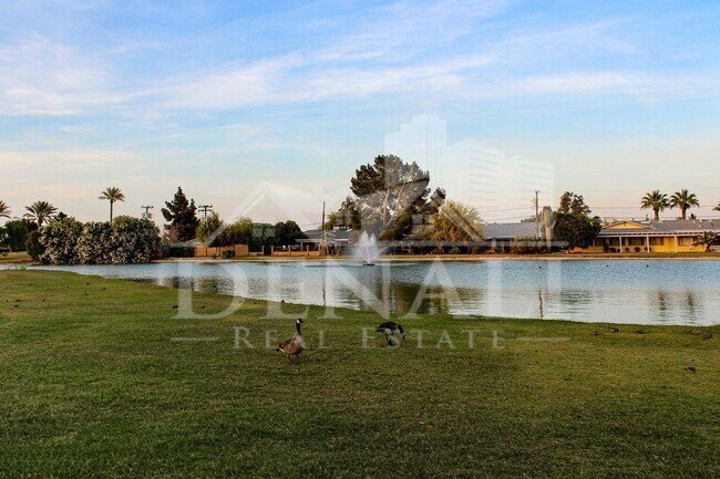 Building Photo - 9807 W Mockingbird Dr