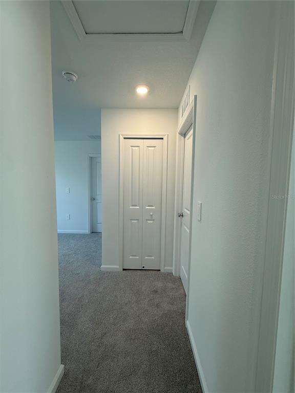 Building Photo - 2528 Absolute Ave