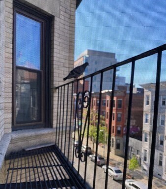 Building Photo - 65 Burbank St