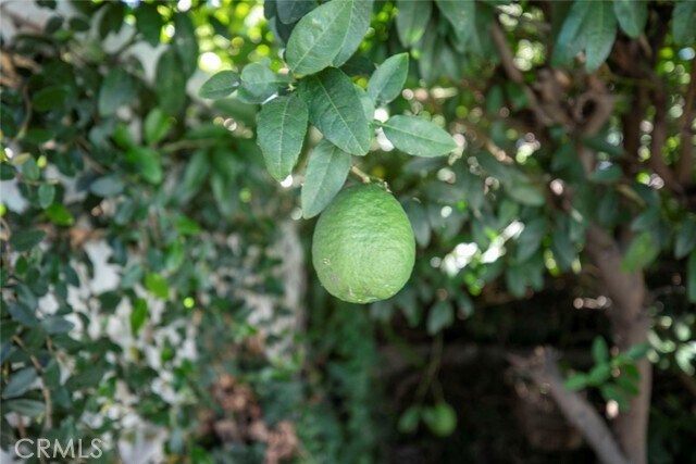 Building Photo - 528 Spencer St