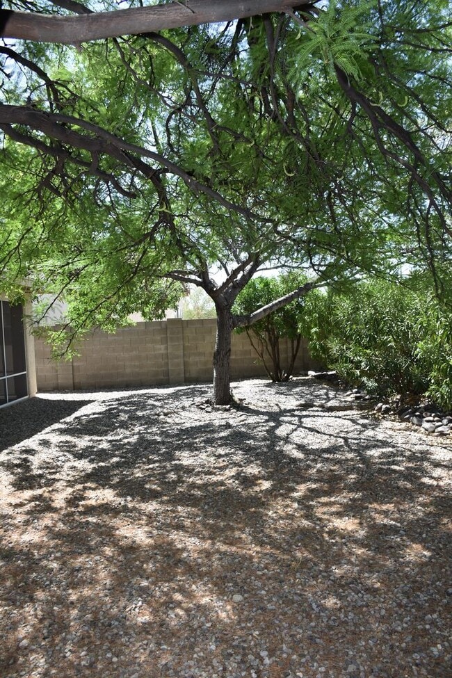 Building Photo - Great House Located in Winterhaven