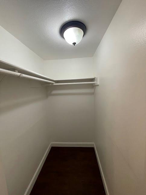 Building Photo - 5100 Galen Ct