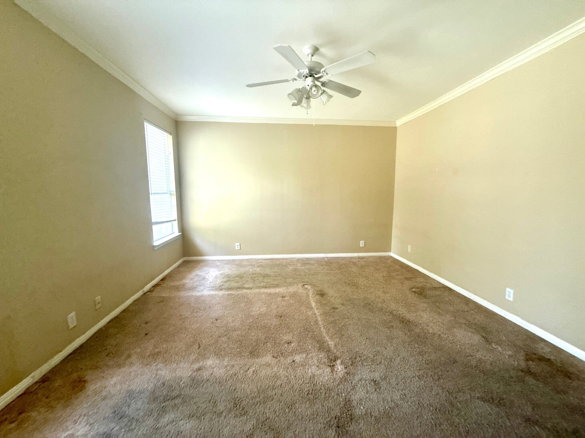 Building Photo - 4115 Dunn Oak Dr