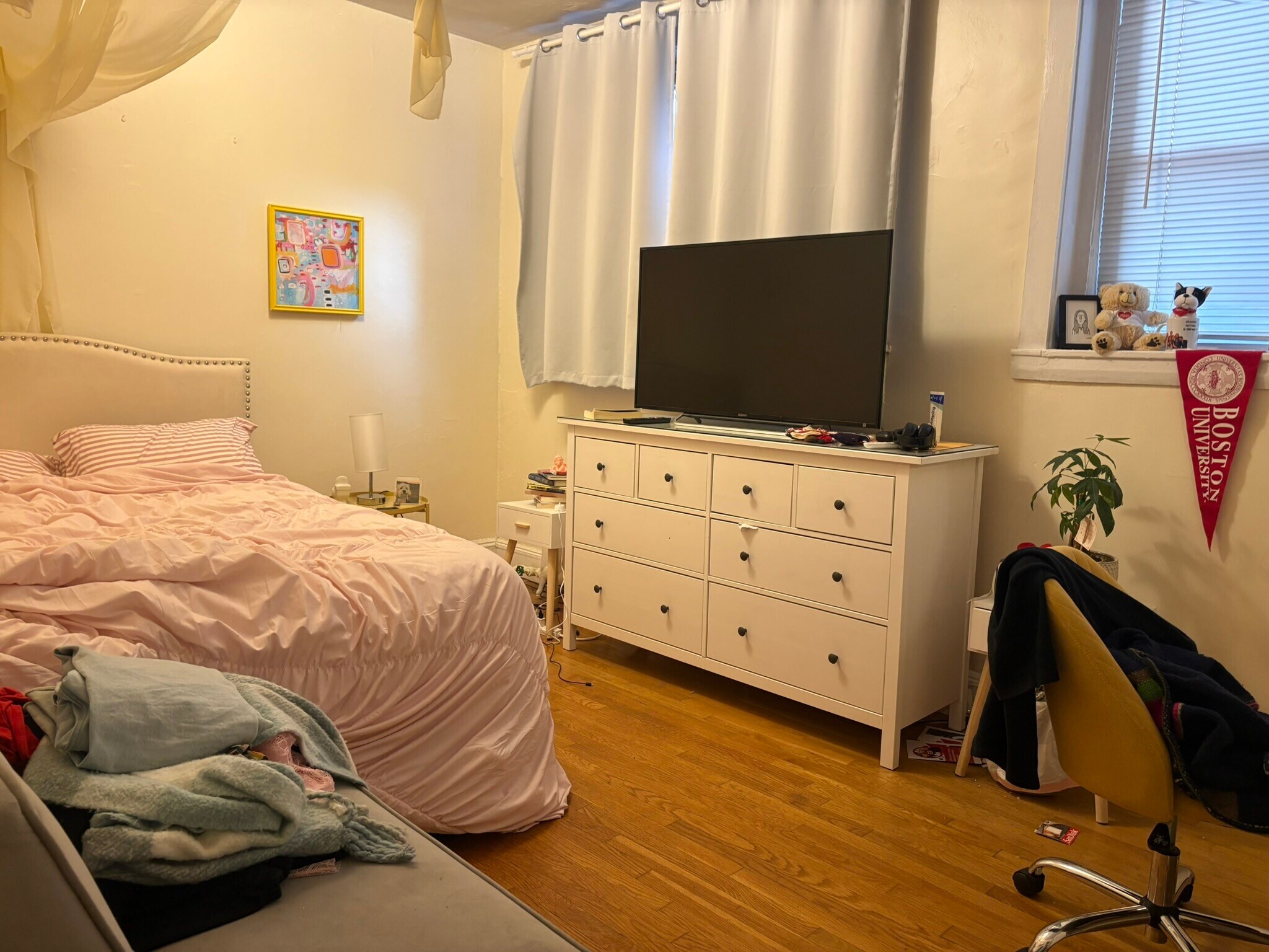 Building Photo - 62 Egmont St