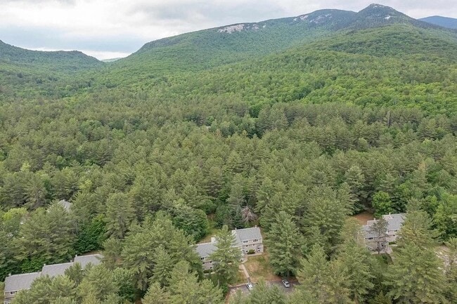 Building Photo - 22 Orris Rd