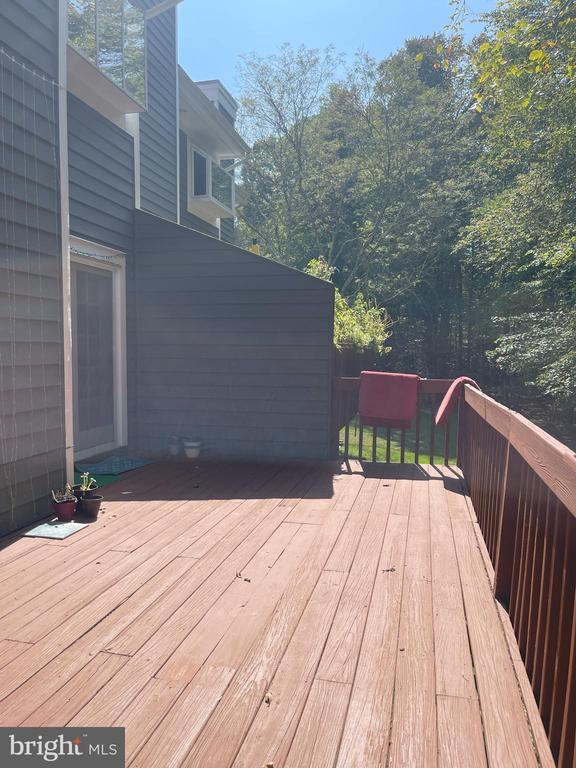 Building Photo - 24 Ginger Ct