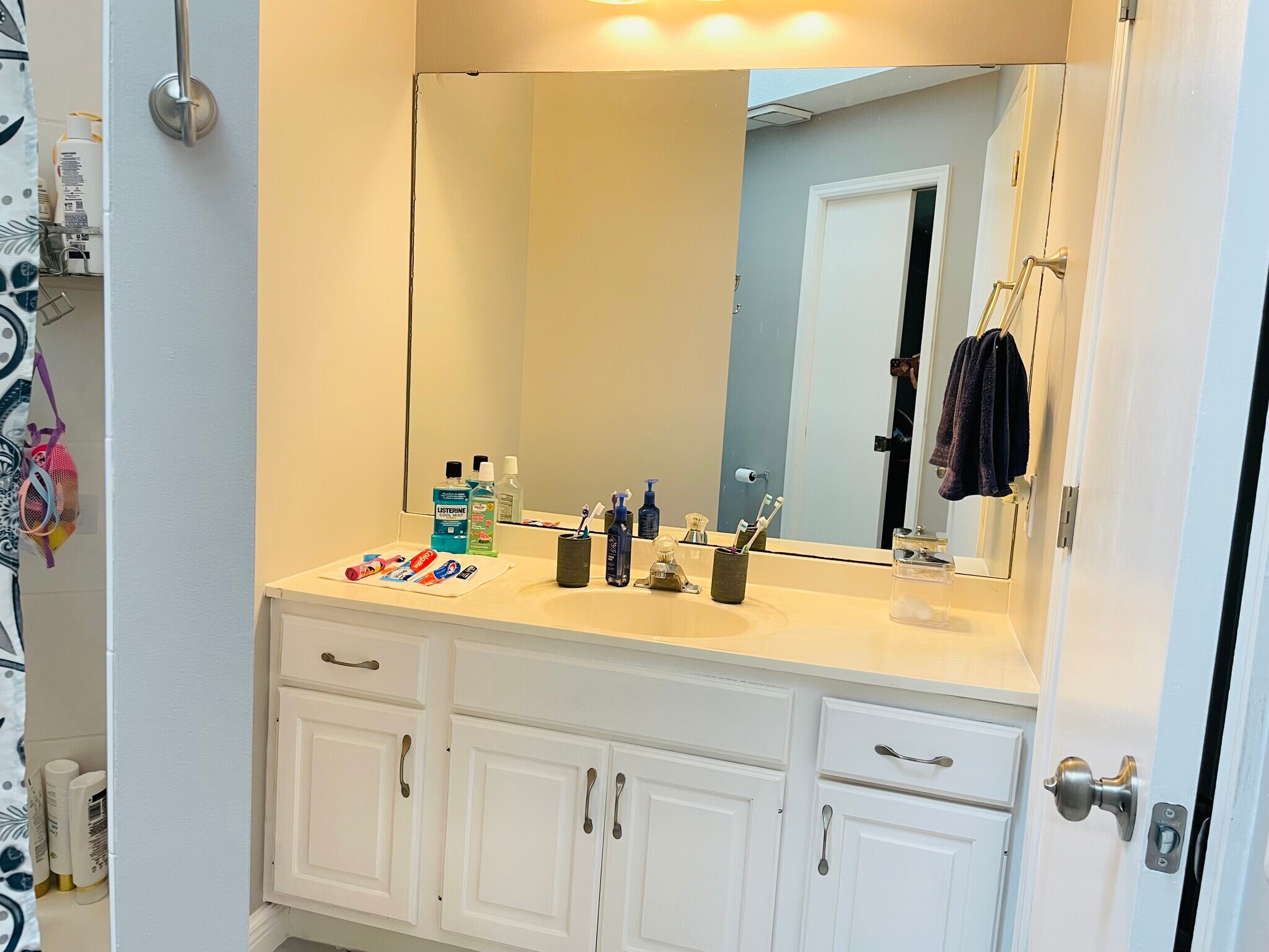 Main Bath Vanity - 16133 Logarto Ln