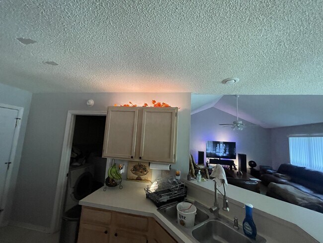 Building Photo - 2381 Hilton Dr