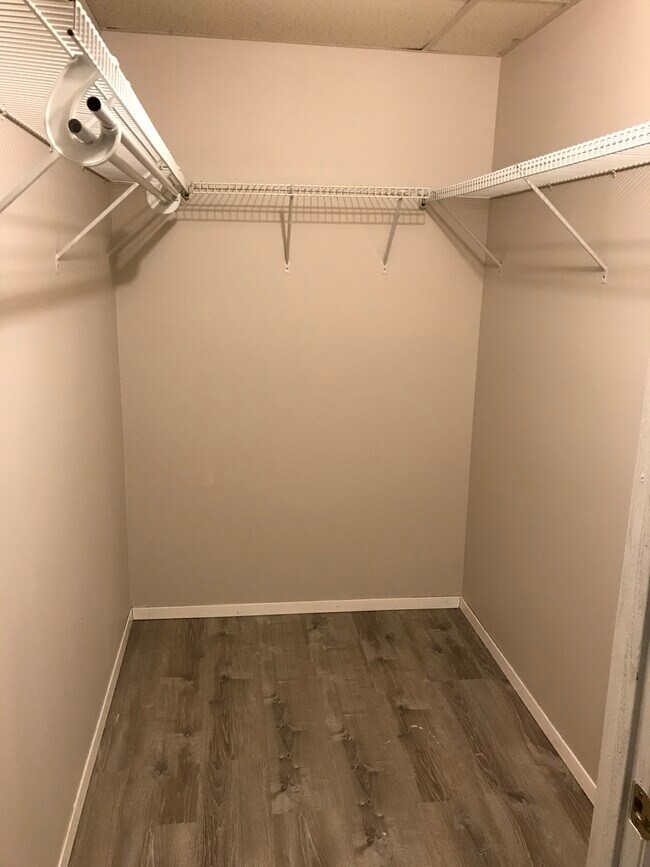 Bedroom Two Walk-in Closet - 351 Chicago Rd