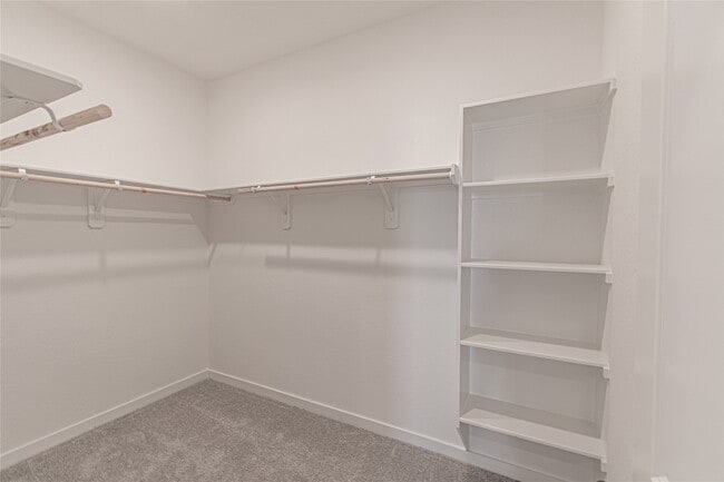 Building Photo - 3022 Palm Branch Dr