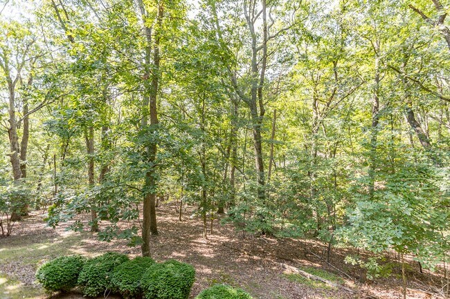 Building Photo - 3 Bedroom Home in Massanutten!!!