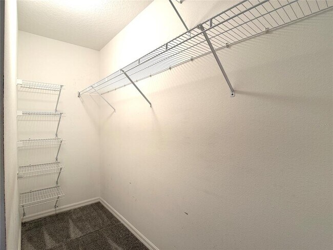 Building Photo - 310 White Ibis Ln