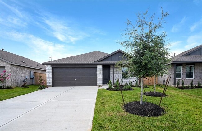 Primary Photo - 6602 Tricolor Beech Ln