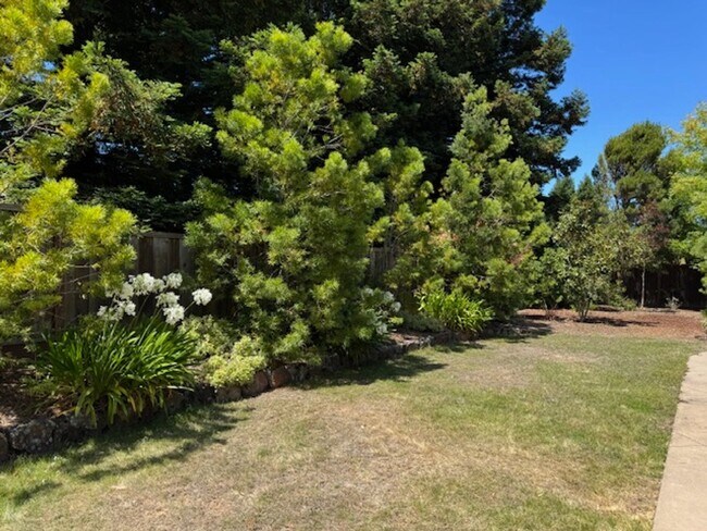 Building Photo - Spacious 4 bedroom, single level home in M...