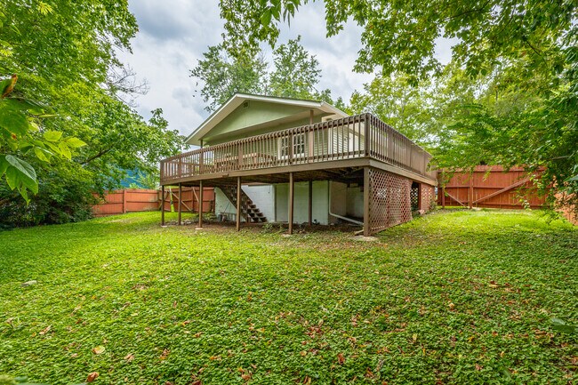 Backyard - 219 Vreeland St