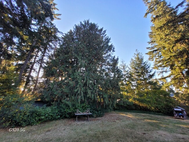 Back yard - 15712 13th Avenue Ct E