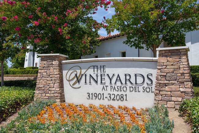 Love where you live when you live at Vineyards at Paseo Del Sol. - Vineyards at Paseo Del Sol