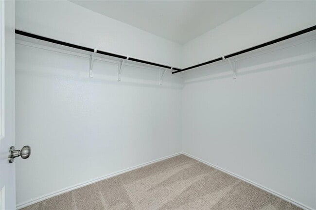 Building Photo - 1015 Ascari Ct