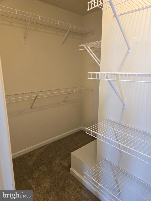 Building Photo - 5837 Bella Marie Wy