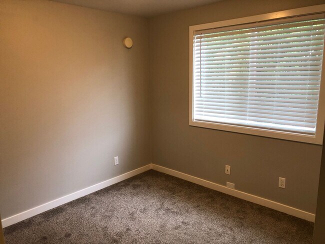 Building Photo - Completely updated 3 bedroom 1 bath duplex!