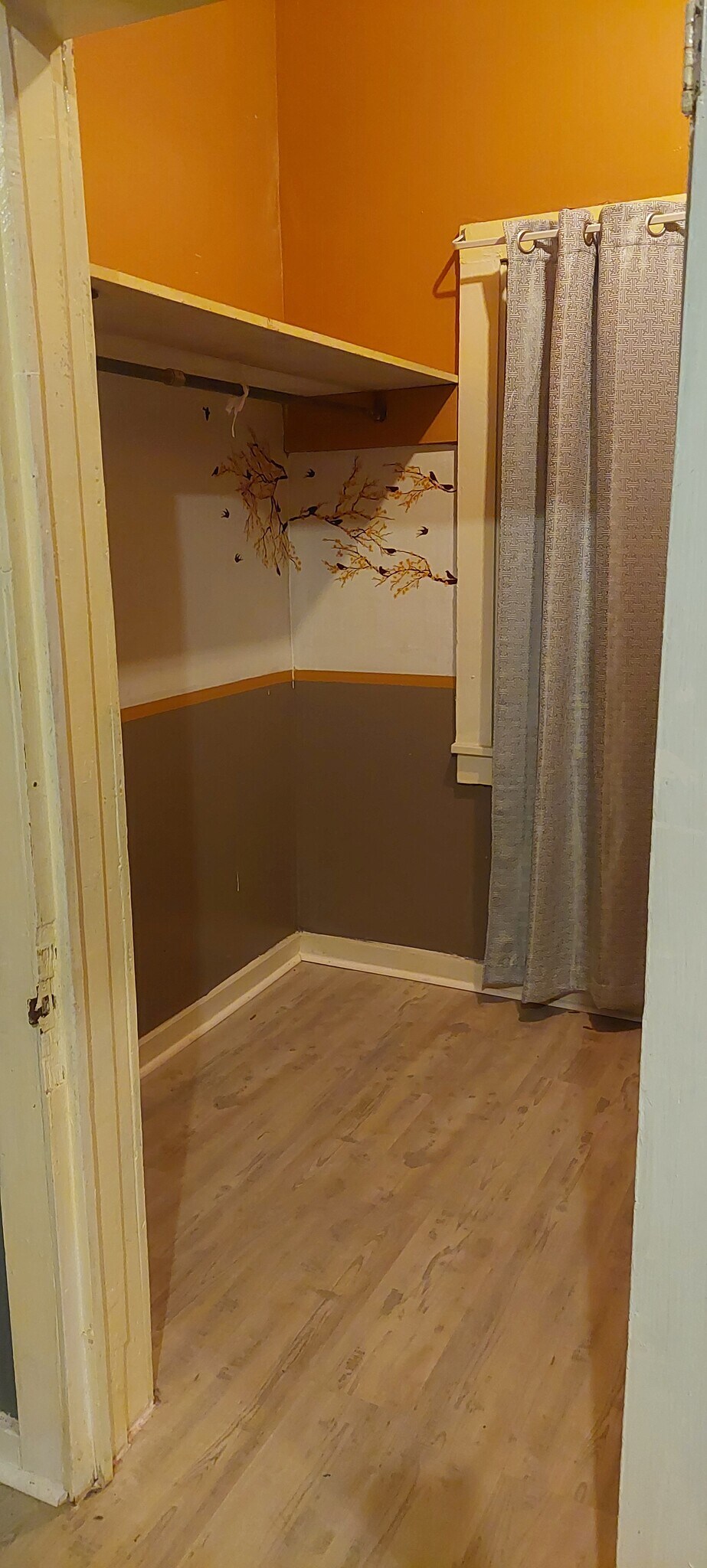 Building Photo - 509 Marine St