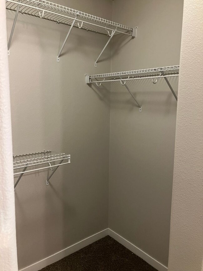 Building Photo - 4 Bed 3 Bath Single Family Home