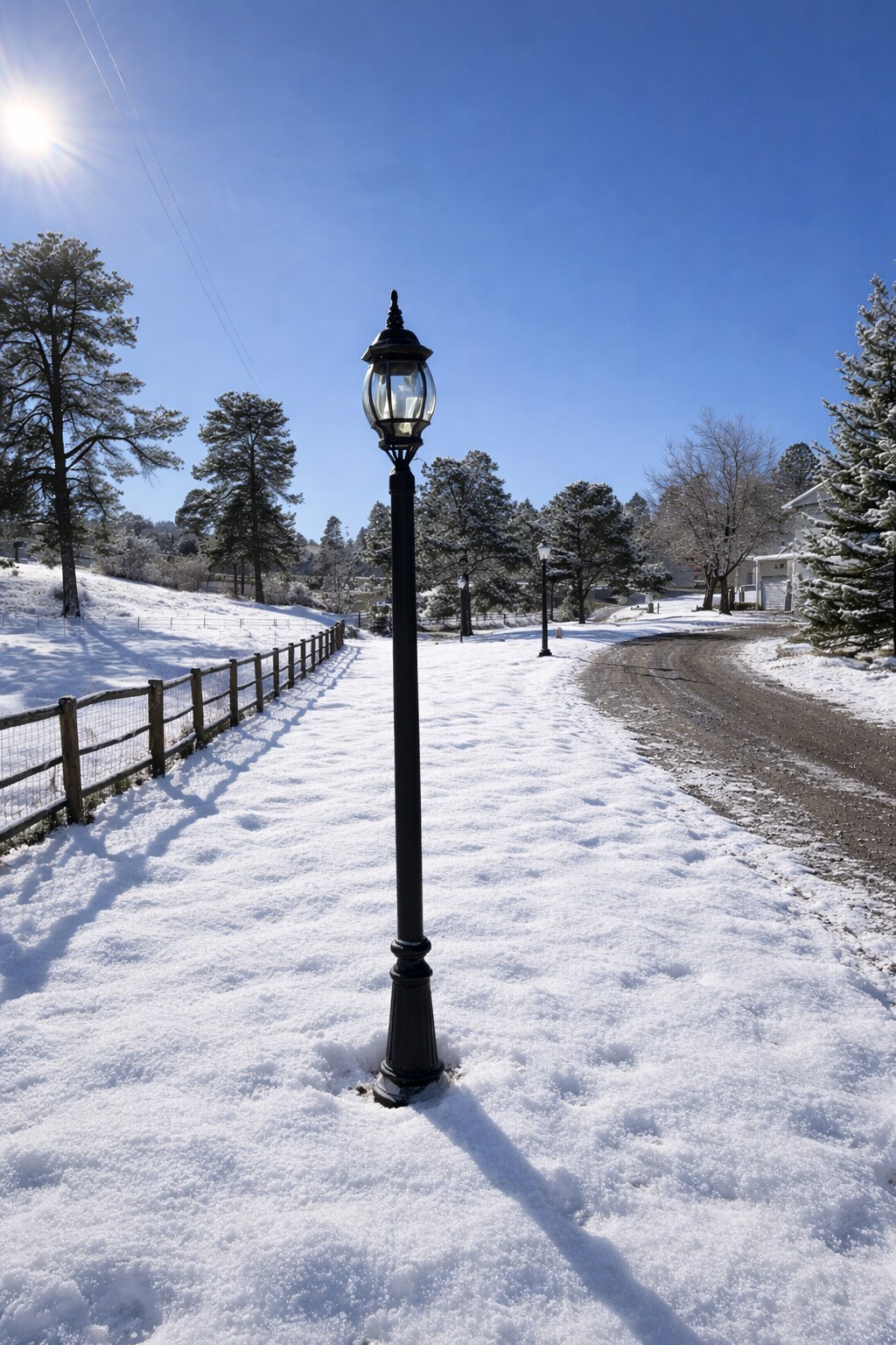 Driveway - 1290 Starling Ln