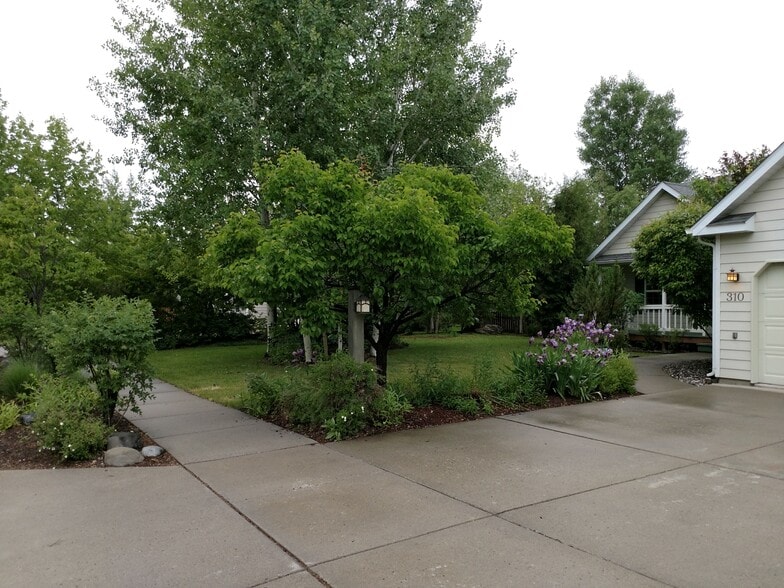Looking from the driveway to the front yard. - 310 N Sweetgrass Ave