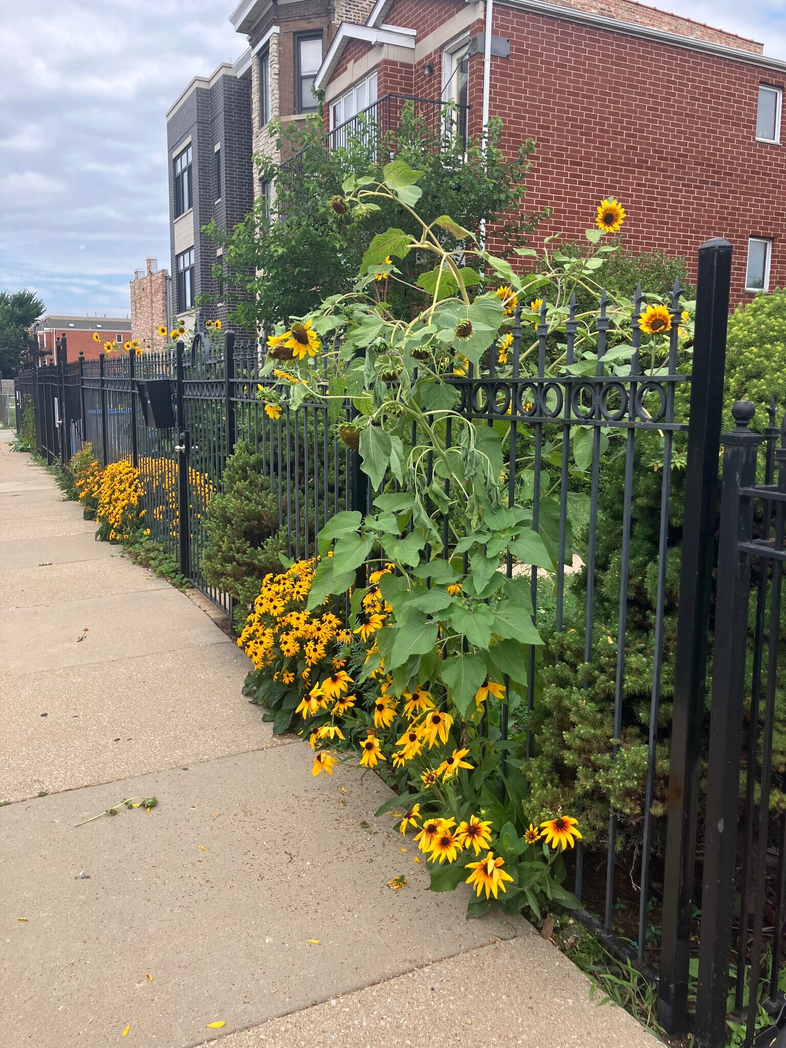 Building Photo - 2438 W Flournoy St
