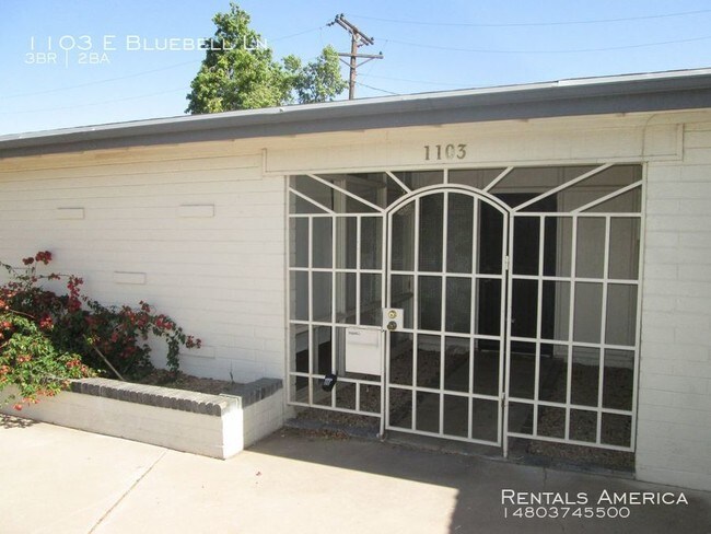 Building Photo - NO HOA!