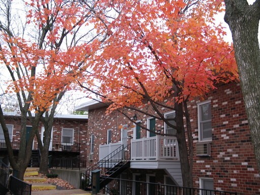 Interior Photo - Laclede Forest Apartments