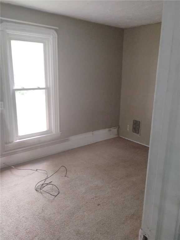 Primary Photo - 1018 Hall St