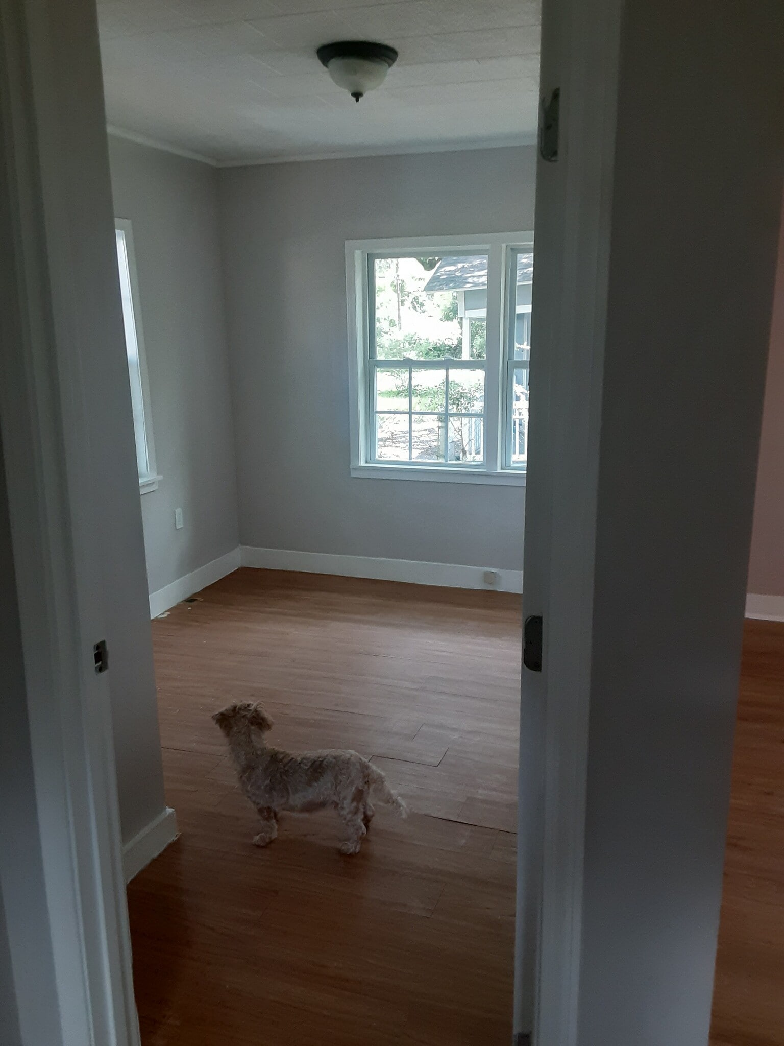 New windows throughout. - 2413 Columbus Ave