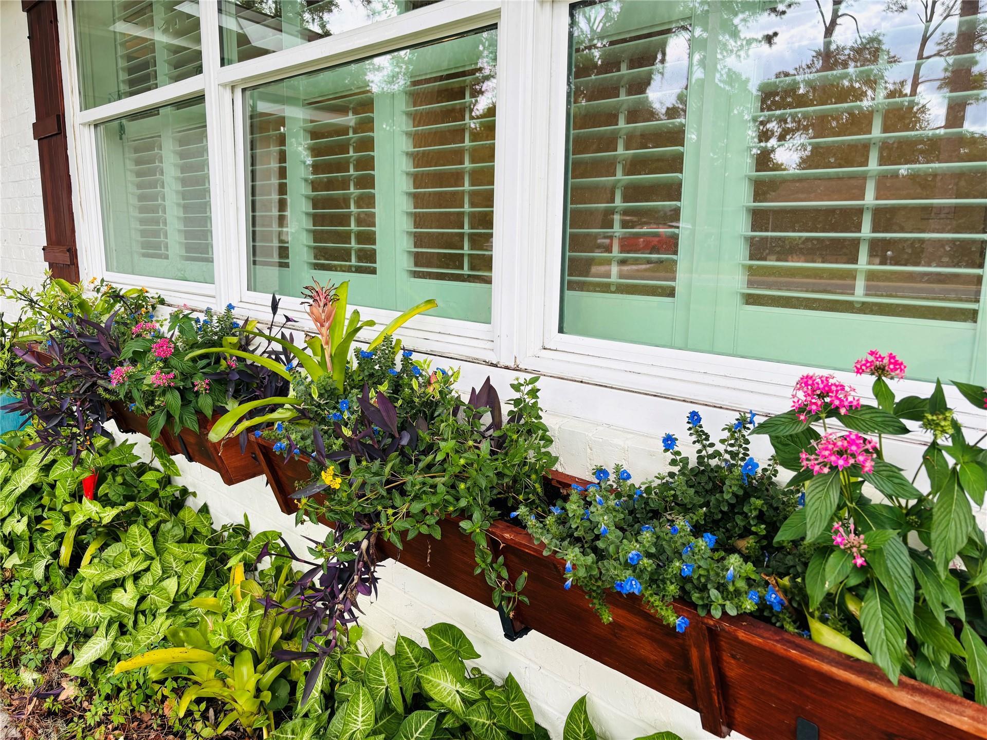 Building Photo - 2826 Amelia Rd