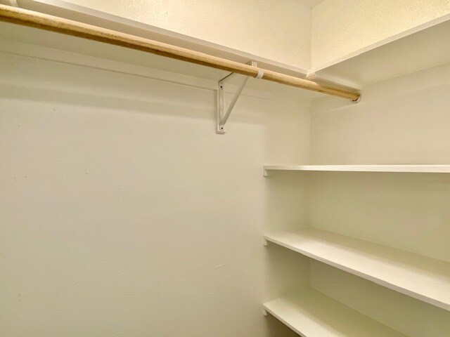 Building Photo - 3600 Maple Ave