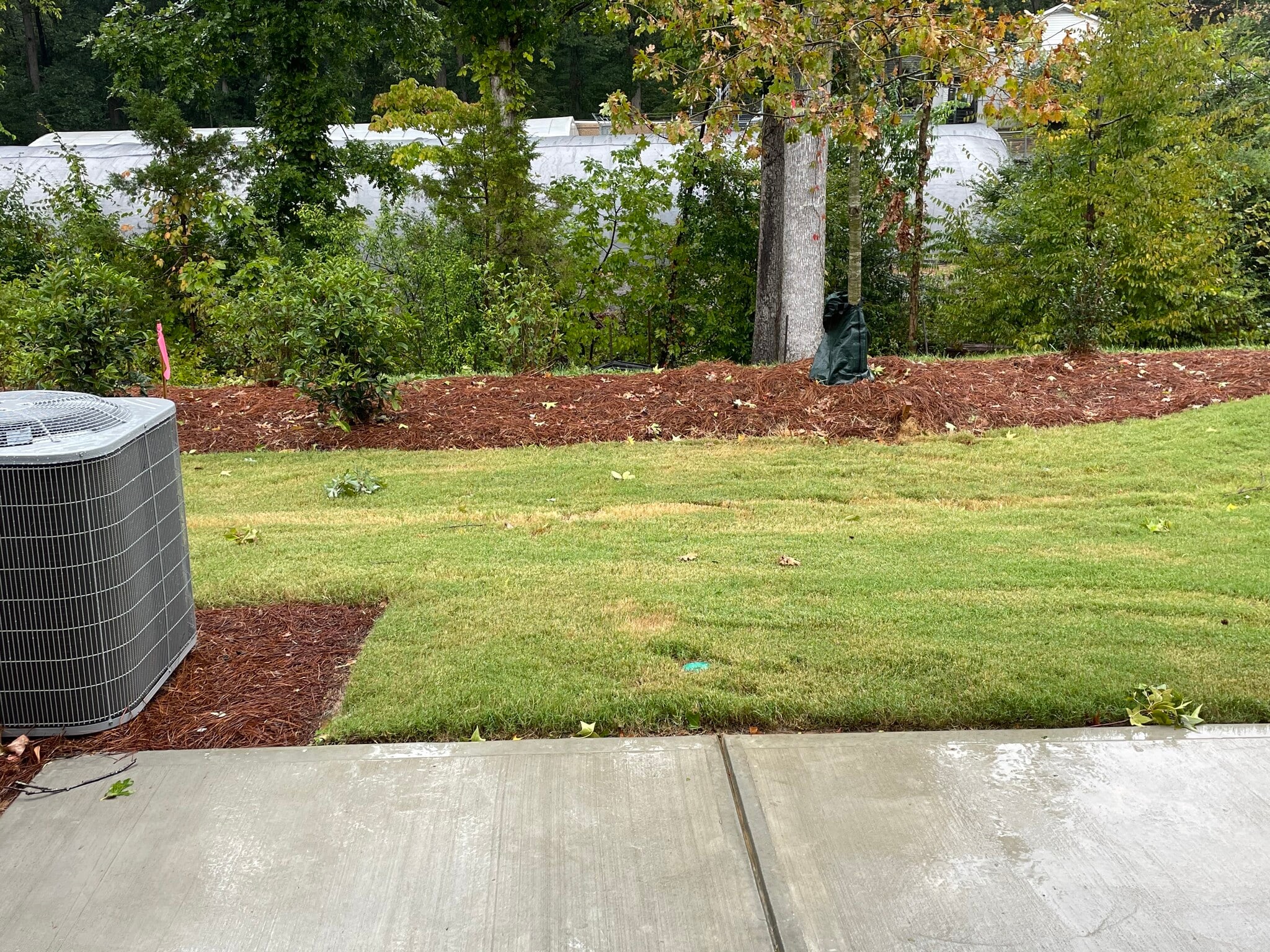 Building Photo - 1010 Maltby St