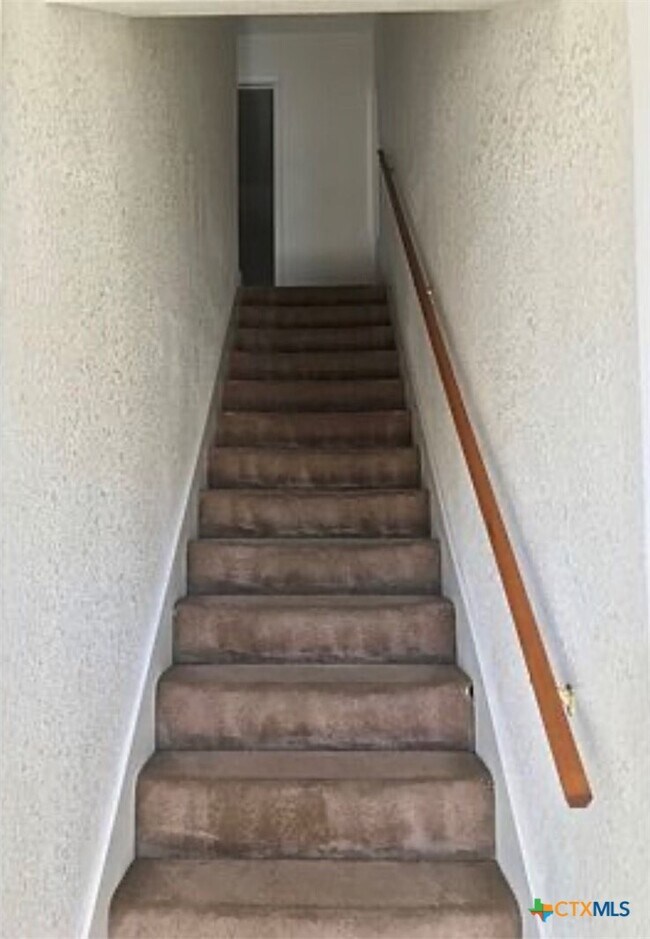 Building Photo - 3803 Ys Pak Ct