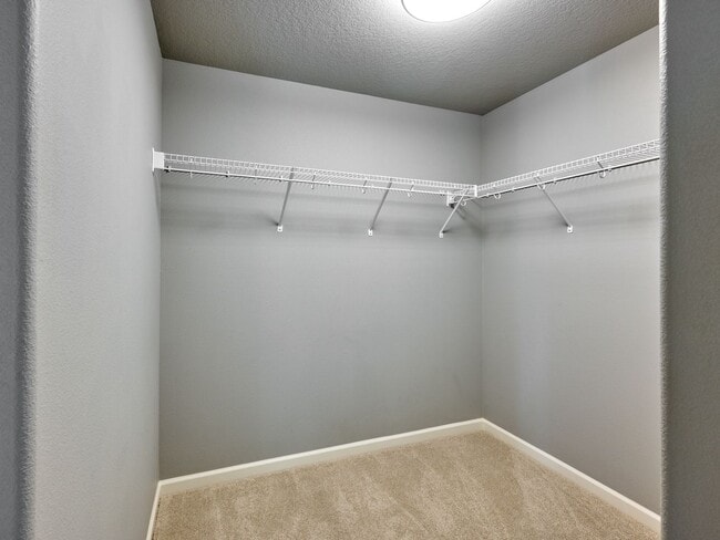 Building Photo - Beautiful 4 bedroom/2.5 Bath Home On Large...