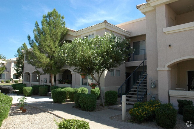 Springs at Alta Mesa Apartment Homes - Springs at Alta Mesa