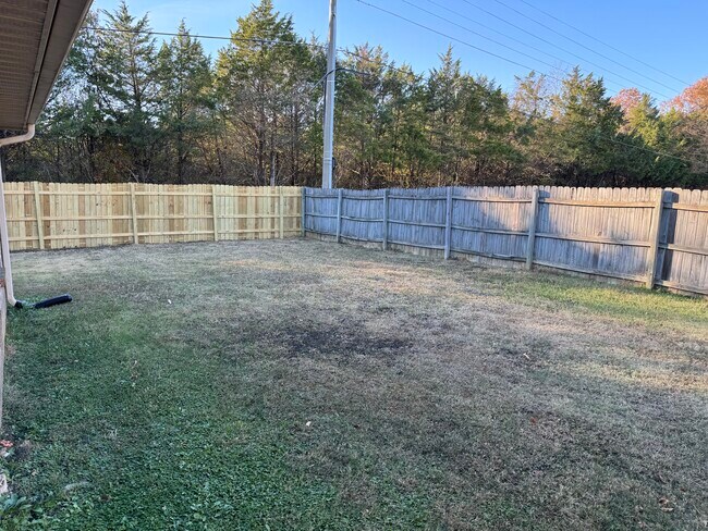 Backyard - 3550 Woodland Dr