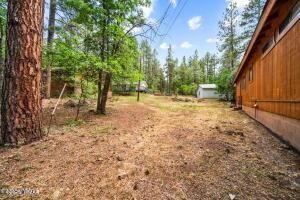 Building Photo - 2787 Wapiti Ln