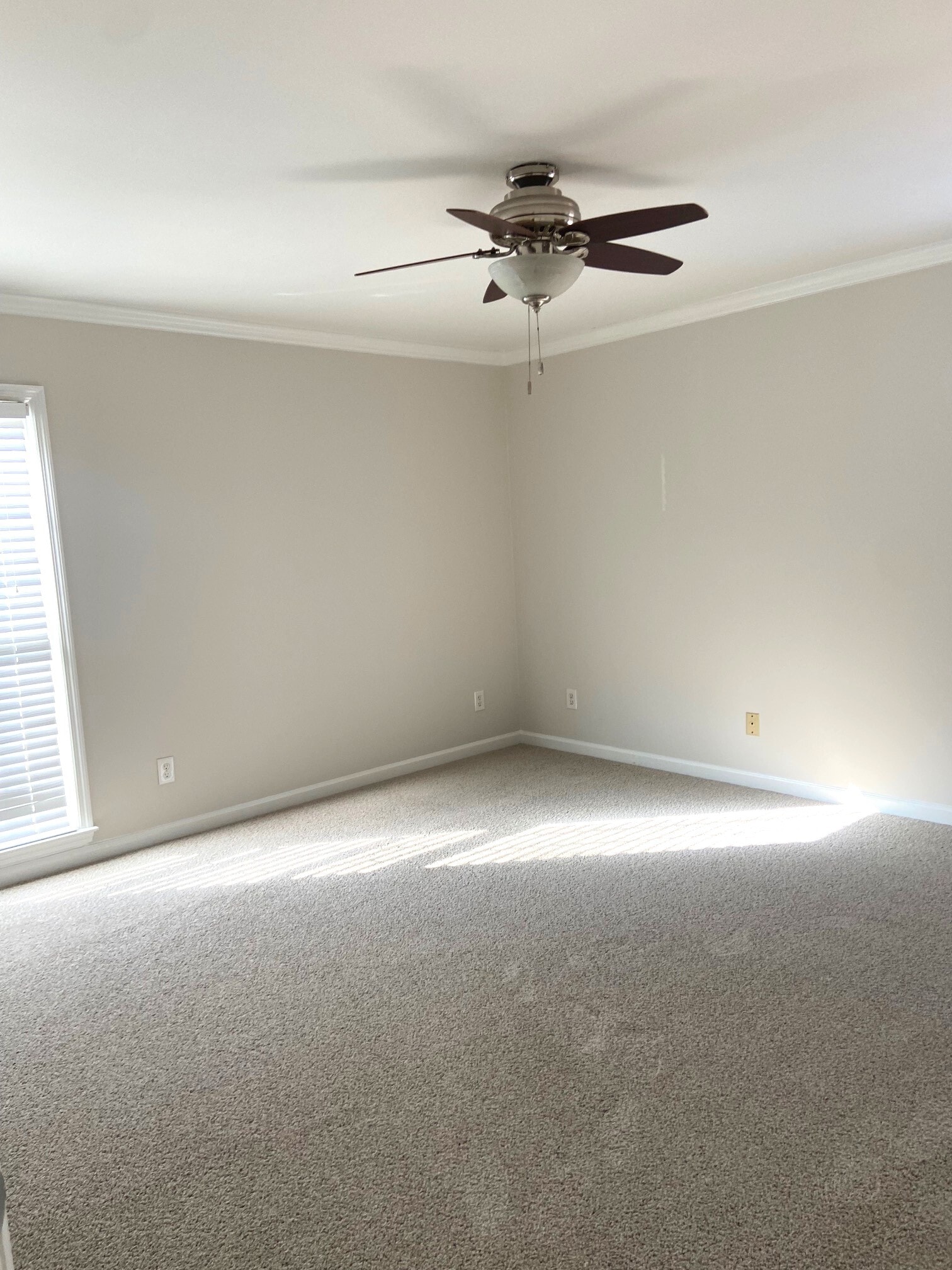 Building Photo - 336 Oak Leaf Cir