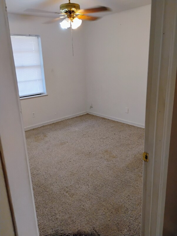 Building Photo - 1015 Louise Ln