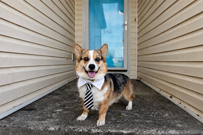 Building Photo - 342 Turkey Run Dr