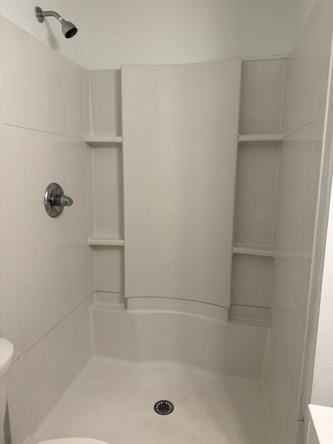 Building Photo - Central AVL - 1/1 Updated Apartment Ready ...