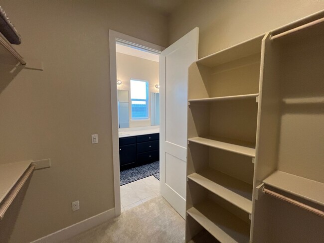 Building Photo - Brand new 3 bedroom single story home!